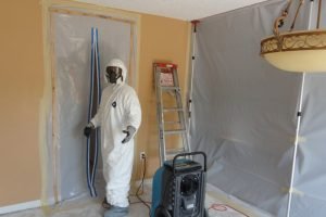 Mold Vacuuming